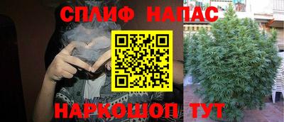 Альфа ПВП Краснознаменск