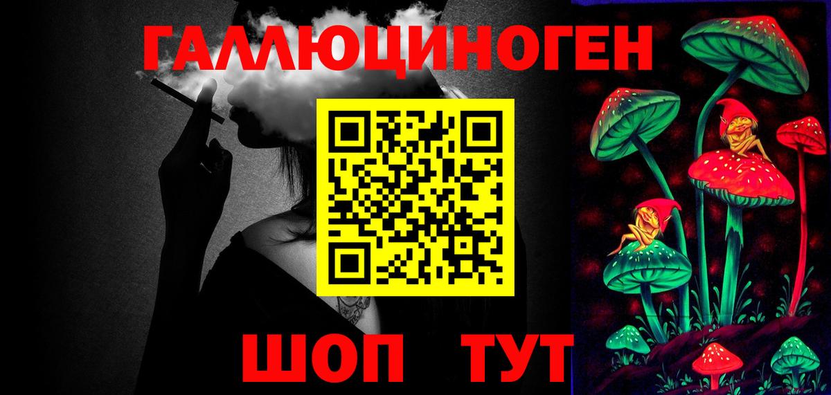 Псилоцибиновые грибы Psilocybe  Галлюциногенные грибы прущие грибы  Казань  Вход с VPN 